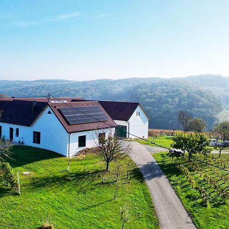 Kaeferberghof Im Burgenland, Komfortzimmer Mit Fruehstueck, Bed & Breakfast, Urlaub Am Bauernhof Eltendorf Exterior foto